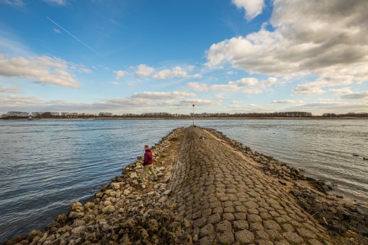 VIStip: op winde met de drijvende broodkorst