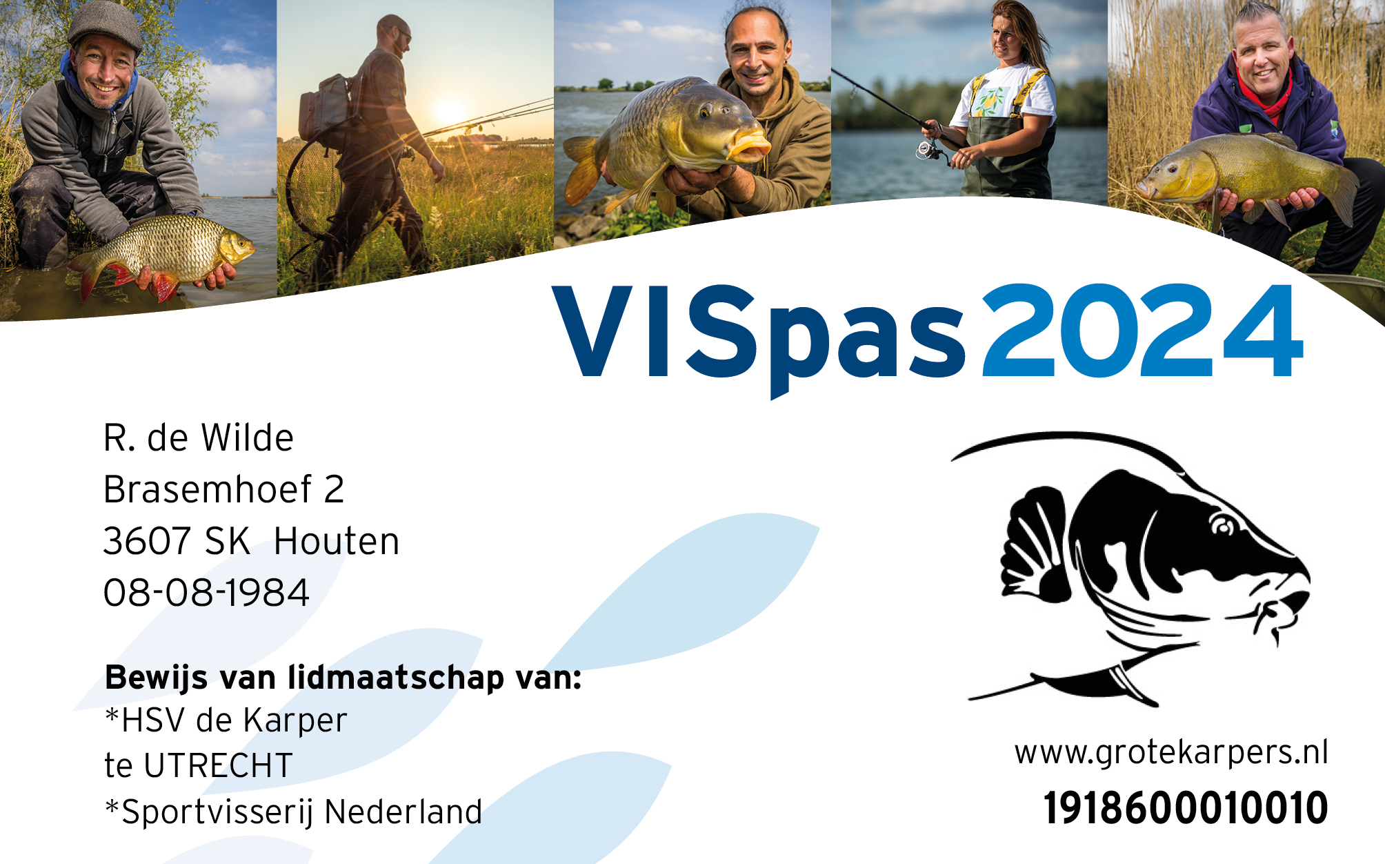 VISpas2024