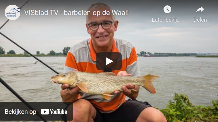 Barbeelvissen in VISblad TV (video)
