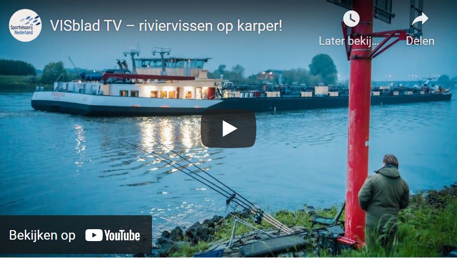 Rivierkarperen aan de Lek in VISblad TV (video)