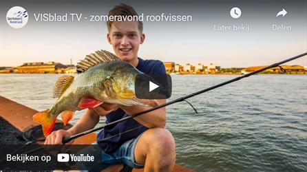 Roofvissen in de avonduren met VISblad TV (video)