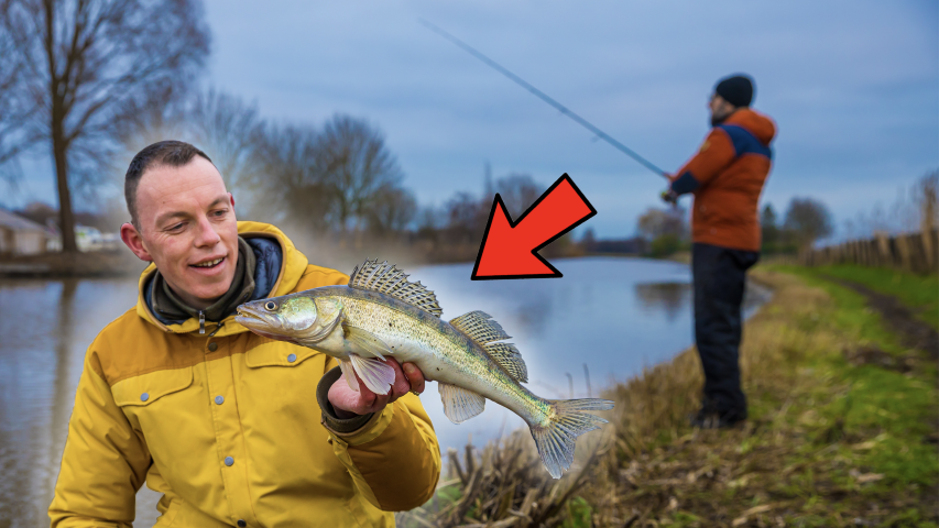 VISblad TV: roofvissen op de Gekanaliseerde Hollandsche IJssel (video)