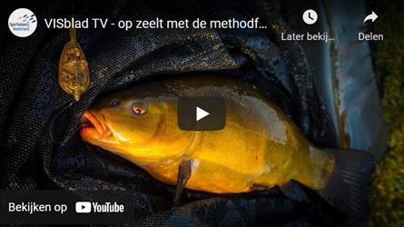 VISblad TV: ‘methodisch’ op zeelt (video)