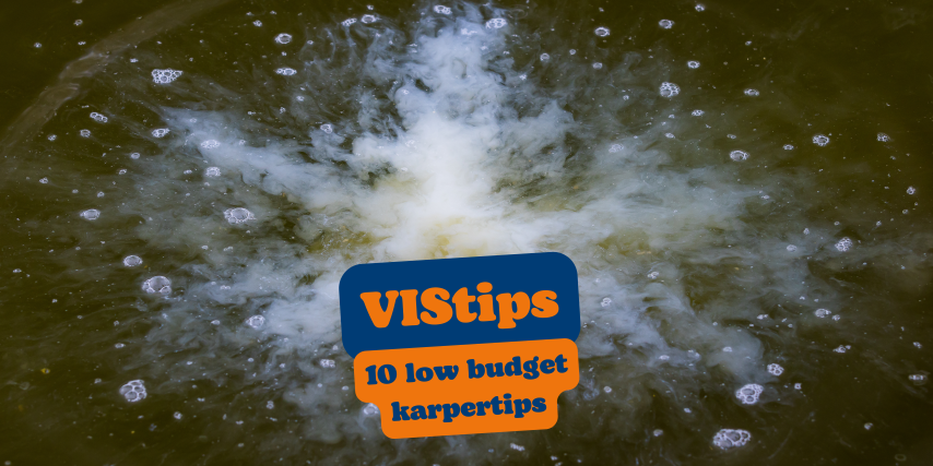 VIStip: 10 low budget karpertips