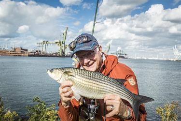 VIStip: 5 tips hardervissen aan de kust van expert Ed Stoop