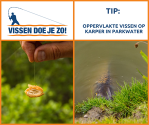 VIStip: 5 tips voor oppervlakte vissen op karper in parkwater