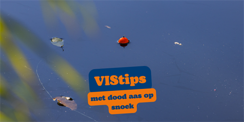 VIStip: met dood aas op snoek (video)