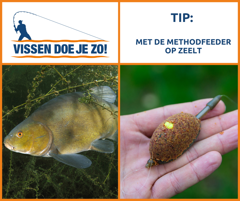 VIStip: op zeelt met de methodfeeder