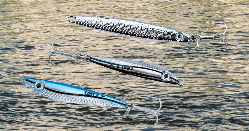 Vistip: pilkertjes voor roofblei