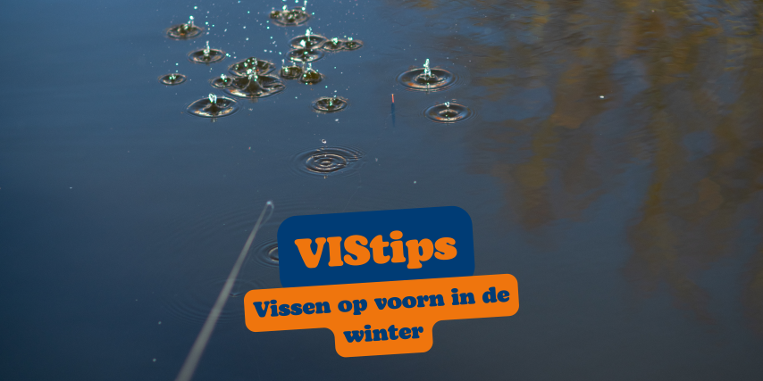 VIStip: vissen op voorn in de winter